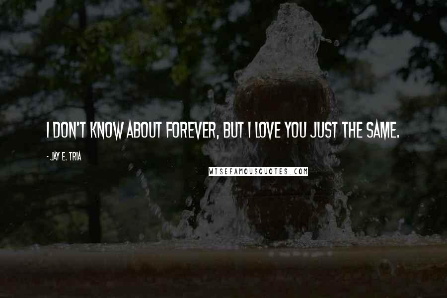 Jay E. Tria Quotes: I don't know about forever, but I love you just the same.