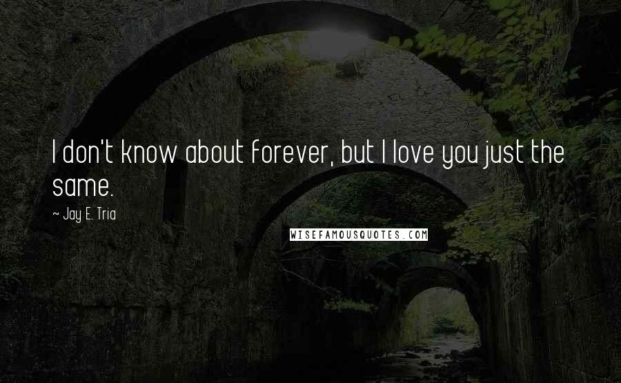 Jay E. Tria Quotes: I don't know about forever, but I love you just the same.