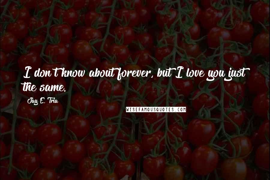 Jay E. Tria Quotes: I don't know about forever, but I love you just the same.