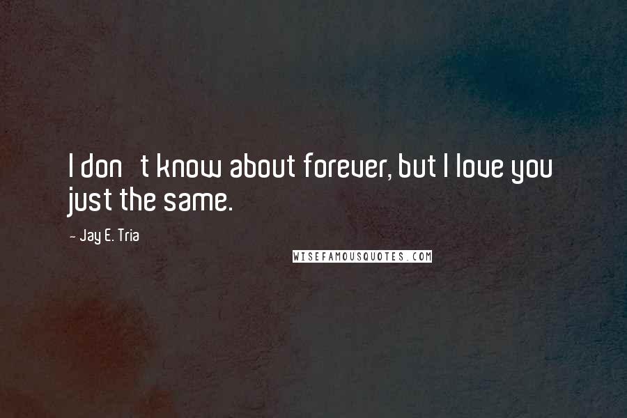 Jay E. Tria Quotes: I don't know about forever, but I love you just the same.