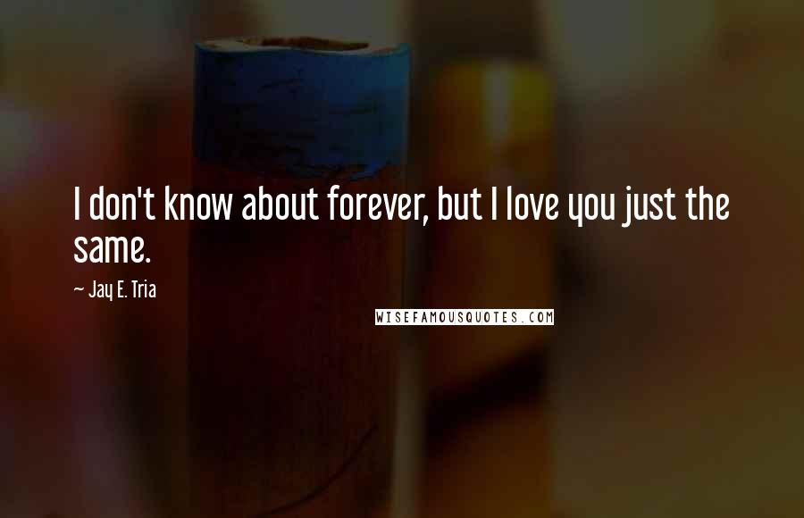 Jay E. Tria Quotes: I don't know about forever, but I love you just the same.