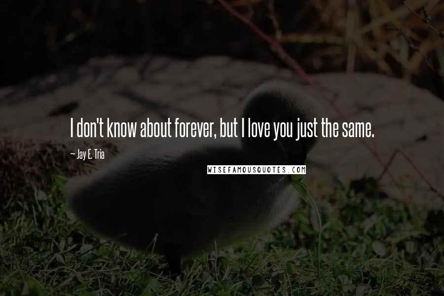Jay E. Tria Quotes: I don't know about forever, but I love you just the same.