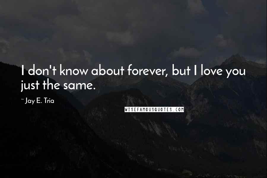 Jay E. Tria Quotes: I don't know about forever, but I love you just the same.