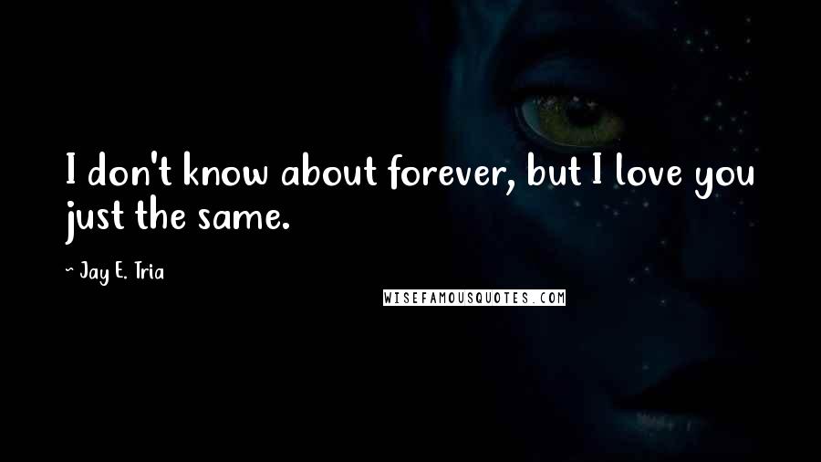 Jay E. Tria Quotes: I don't know about forever, but I love you just the same.