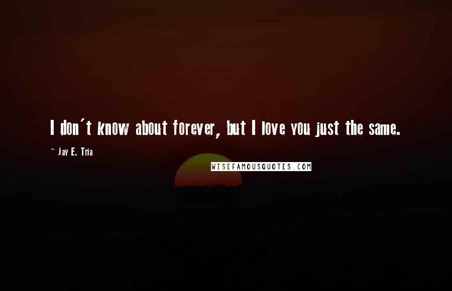 Jay E. Tria Quotes: I don't know about forever, but I love you just the same.