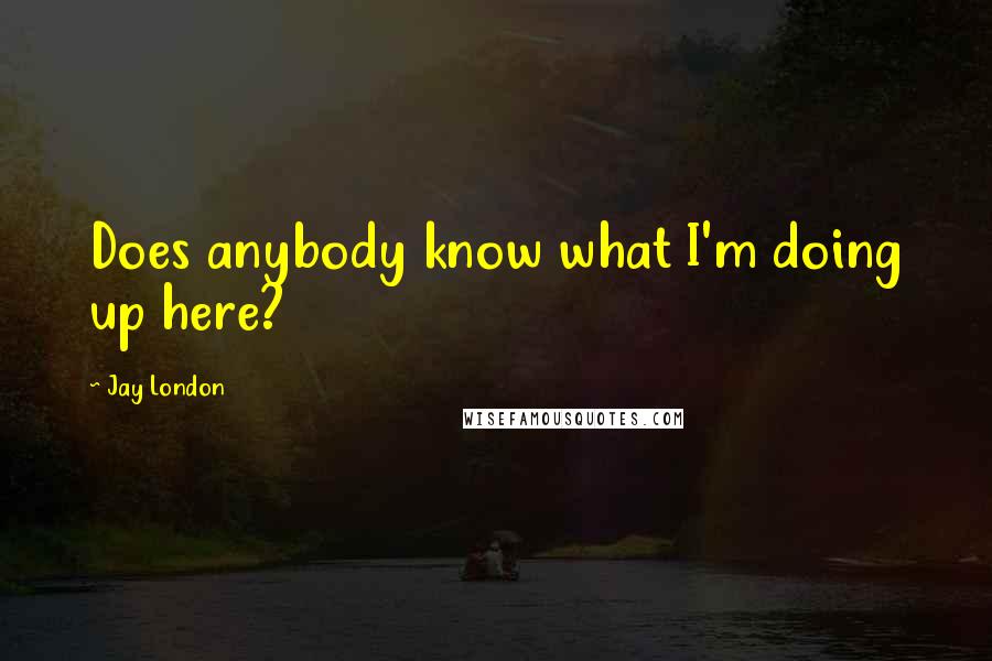 Jay London Quotes: Does anybody know what I'm doing up here?