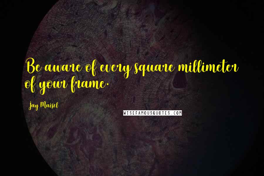 Jay Maisel Quotes: Be aware of every square millimeter of your frame.