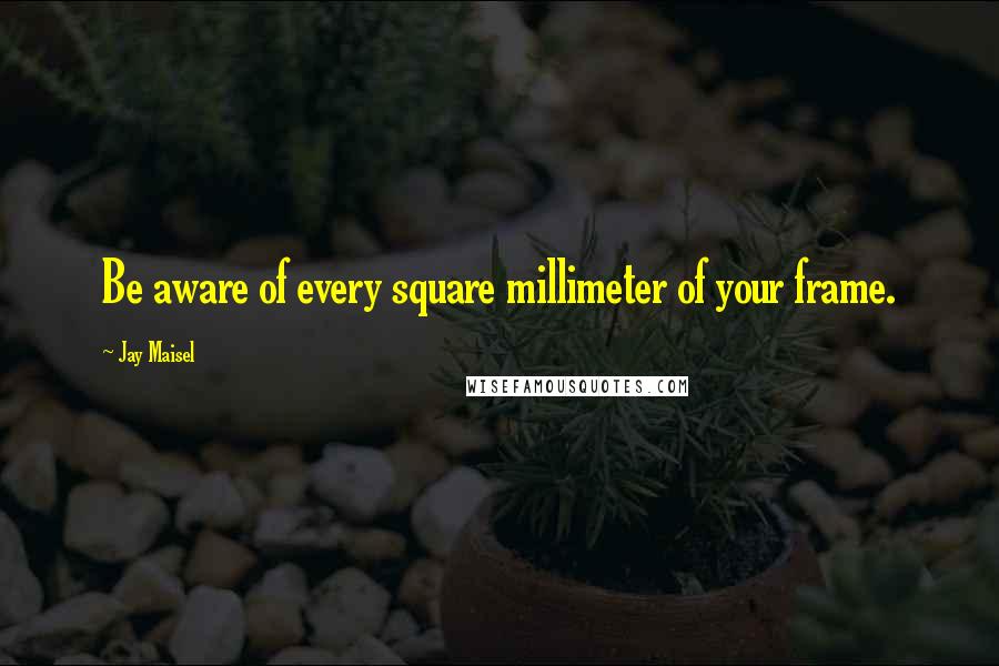 Jay Maisel Quotes: Be aware of every square millimeter of your frame.