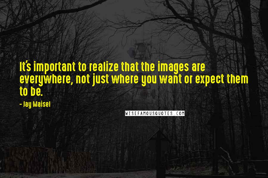 Jay Maisel Quotes: It's important to realize that the images are everywhere, not just where you want or expect them to be.