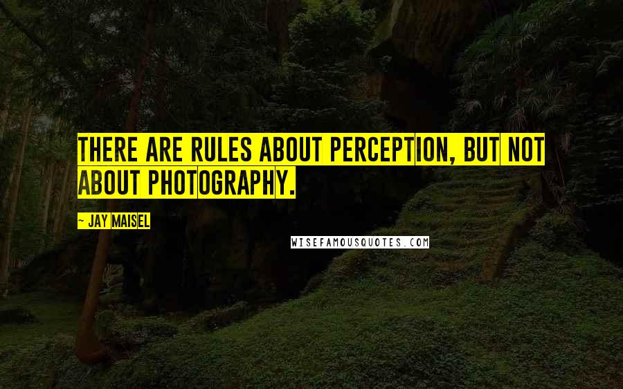 Jay Maisel Quotes: There are rules about perception, but not about photography.