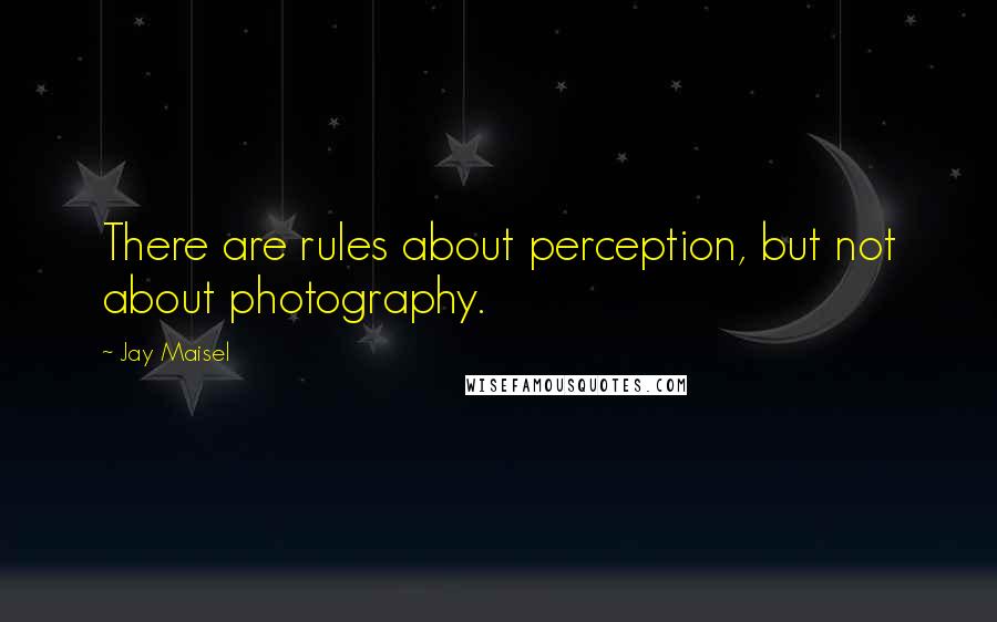 Jay Maisel Quotes: There are rules about perception, but not about photography.