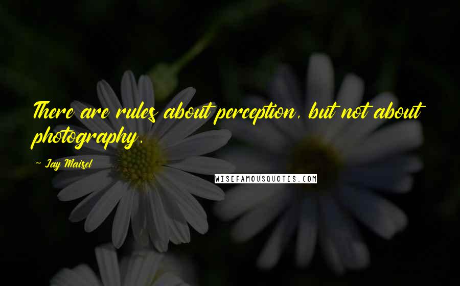 Jay Maisel Quotes: There are rules about perception, but not about photography.