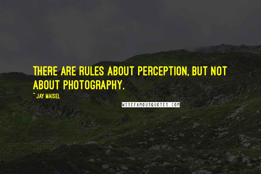 Jay Maisel Quotes: There are rules about perception, but not about photography.