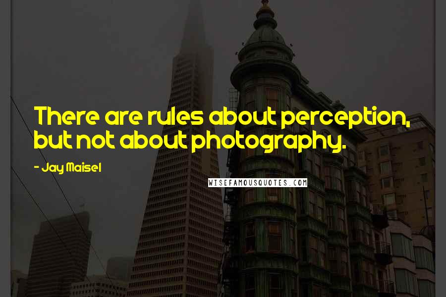 Jay Maisel Quotes: There are rules about perception, but not about photography.