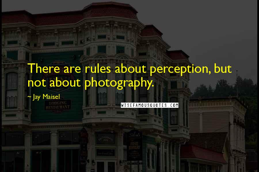 Jay Maisel Quotes: There are rules about perception, but not about photography.