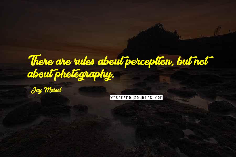 Jay Maisel Quotes: There are rules about perception, but not about photography.