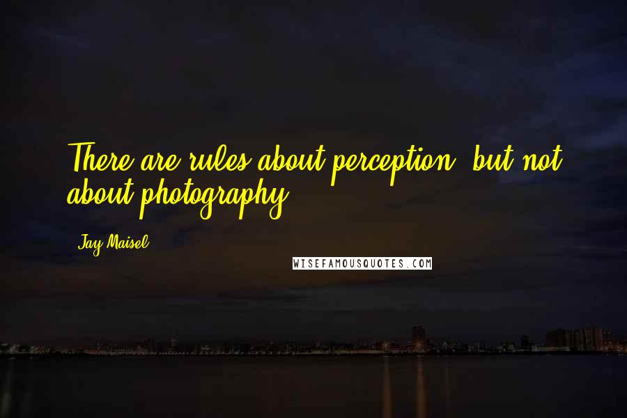 Jay Maisel Quotes: There are rules about perception, but not about photography.