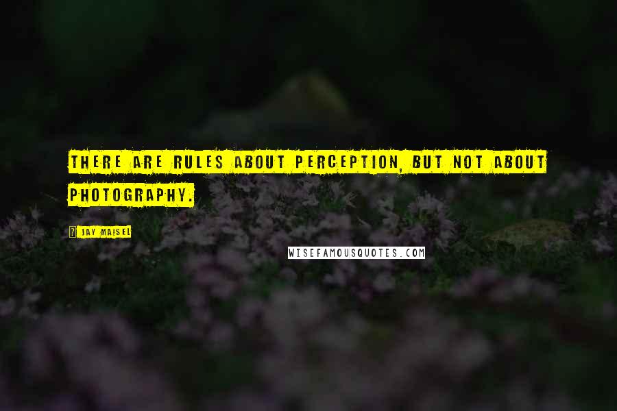 Jay Maisel Quotes: There are rules about perception, but not about photography.