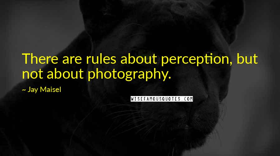 Jay Maisel Quotes: There are rules about perception, but not about photography.