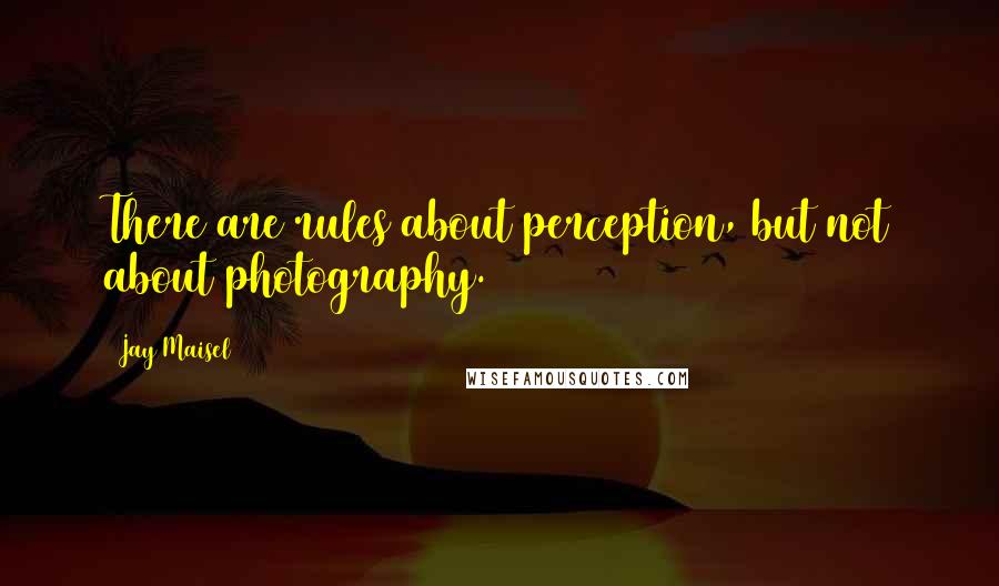 Jay Maisel Quotes: There are rules about perception, but not about photography.