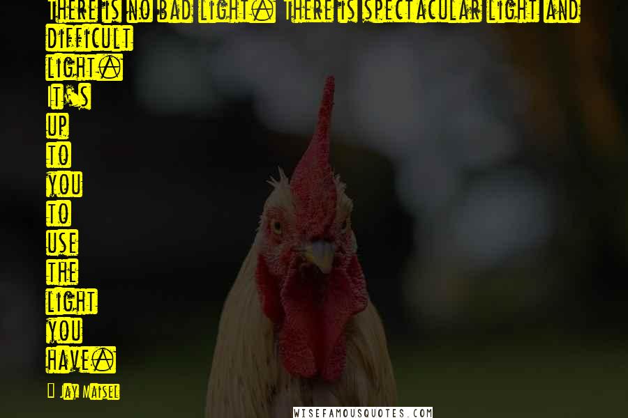 Jay Maisel Quotes: There is no bad light. There is spectacular light and difficult light. It's up to you to use the light you have.