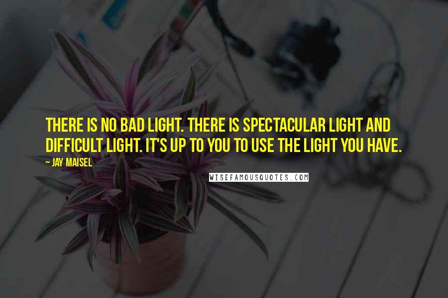 Jay Maisel Quotes: There is no bad light. There is spectacular light and difficult light. It's up to you to use the light you have.