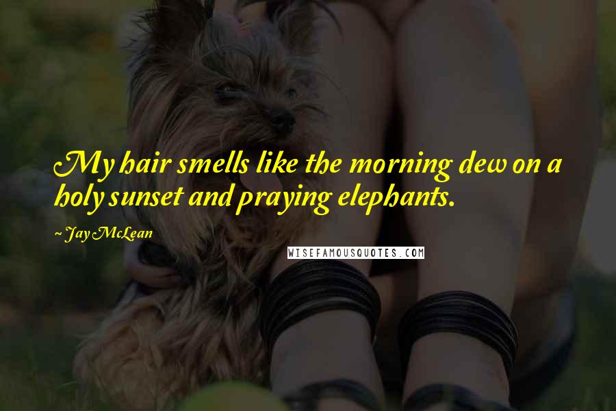 Jay McLean Quotes: My hair smells like the morning dew on a holy sunset and praying elephants.