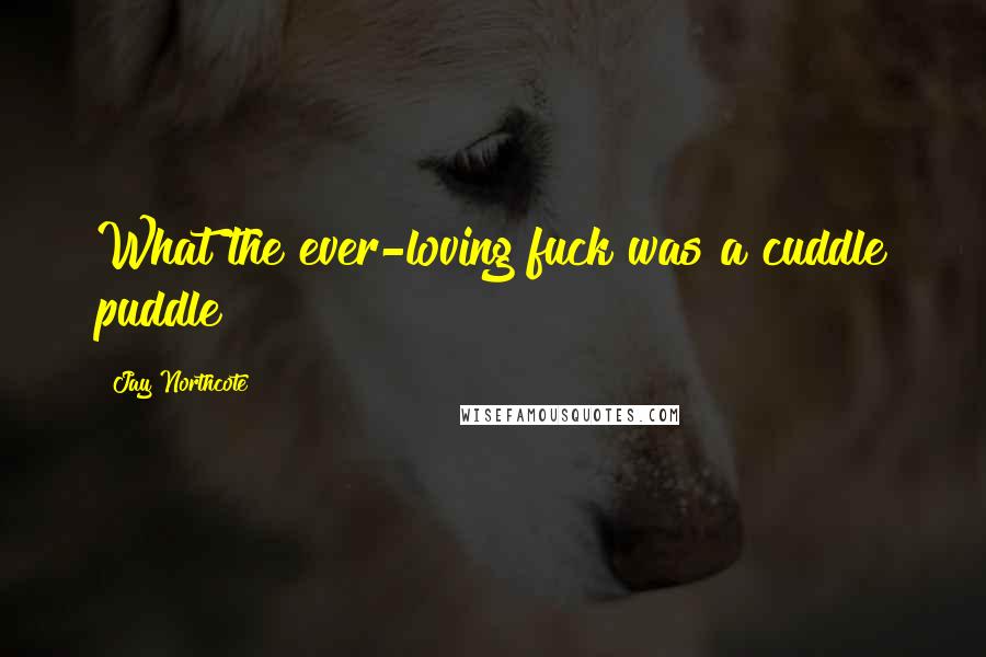 Jay Northcote Quotes: What the ever-loving fuck was a cuddle puddle?