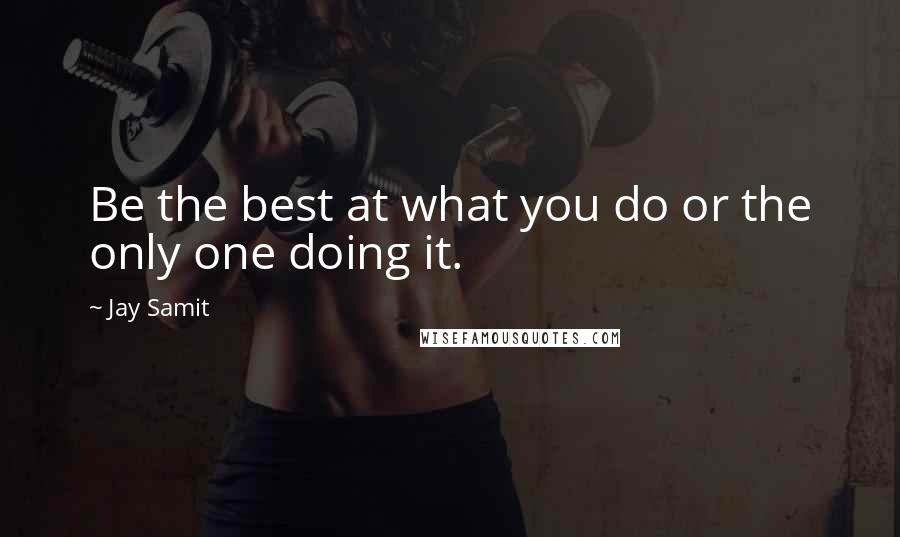 Jay Samit Quotes: Be the best at what you do or the only one doing it.