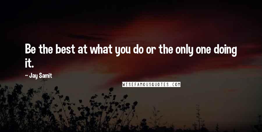 Jay Samit Quotes: Be the best at what you do or the only one doing it.