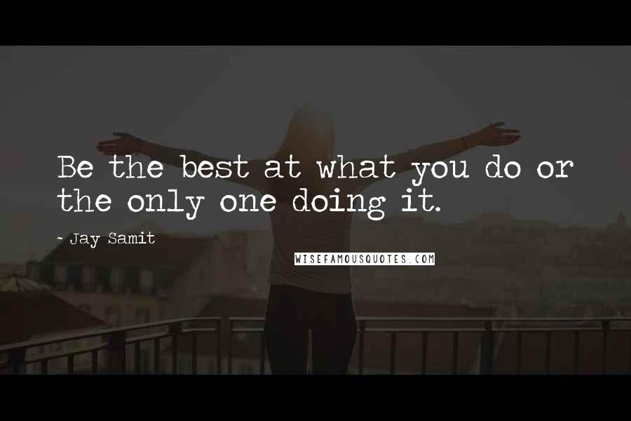 Jay Samit Quotes: Be the best at what you do or the only one doing it.