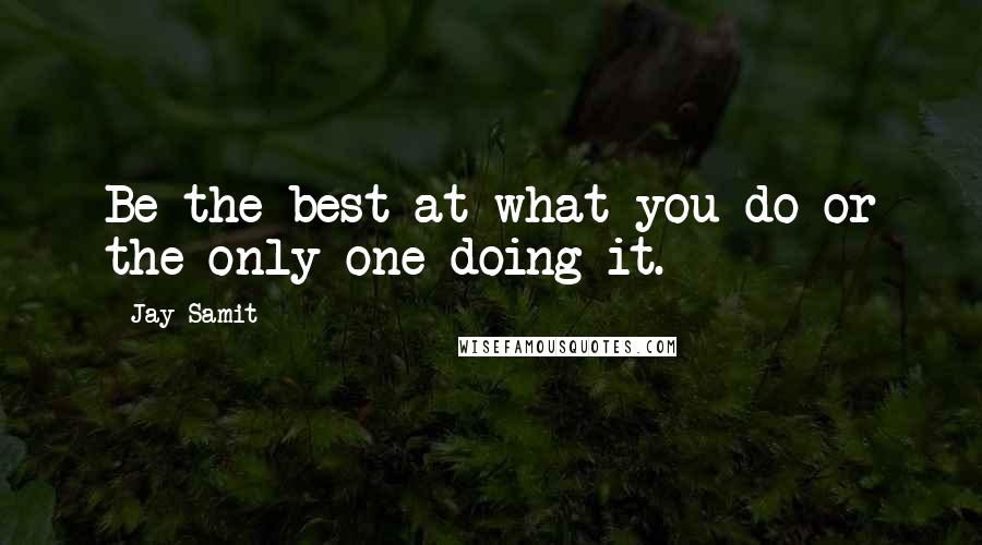 Jay Samit Quotes: Be the best at what you do or the only one doing it.