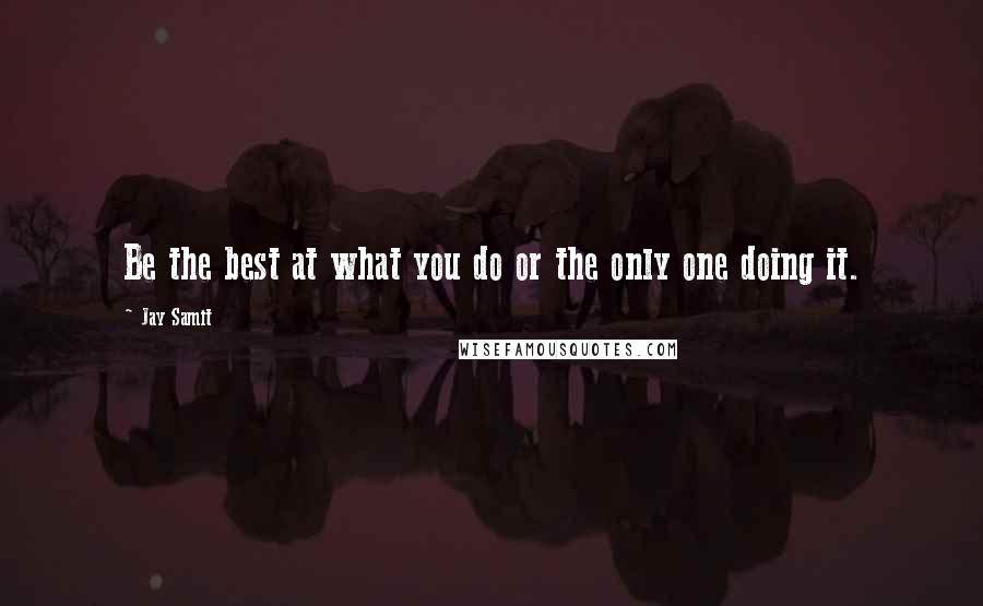 Jay Samit Quotes: Be the best at what you do or the only one doing it.