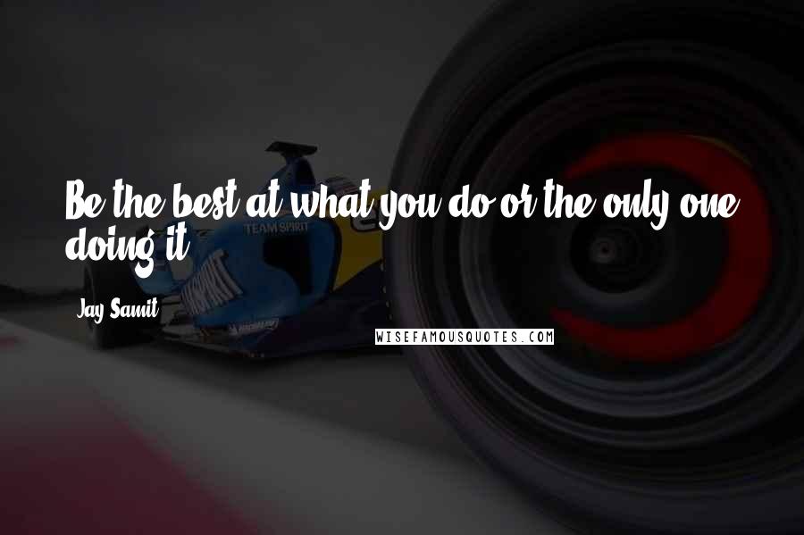 Jay Samit Quotes: Be the best at what you do or the only one doing it.