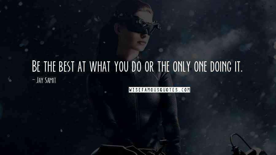 Jay Samit Quotes: Be the best at what you do or the only one doing it.
