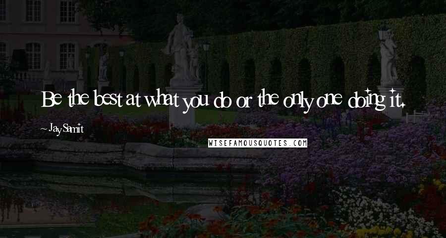 Jay Samit Quotes: Be the best at what you do or the only one doing it.