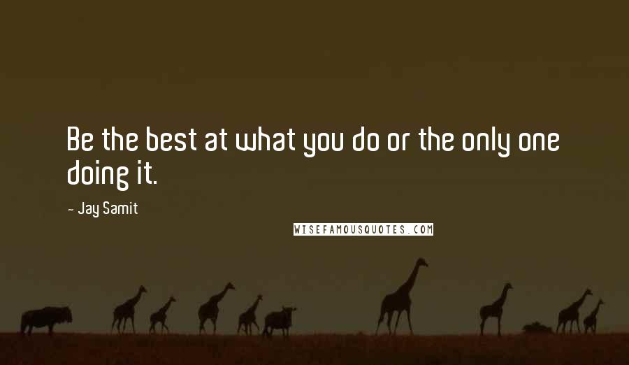 Jay Samit Quotes: Be the best at what you do or the only one doing it.