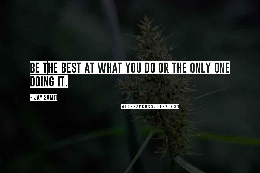 Jay Samit Quotes: Be the best at what you do or the only one doing it.