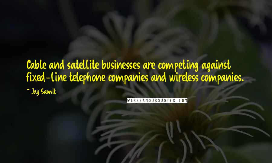 Jay Samit Quotes: Cable and satellite businesses are competing against fixed-line telephone companies and wireless companies.