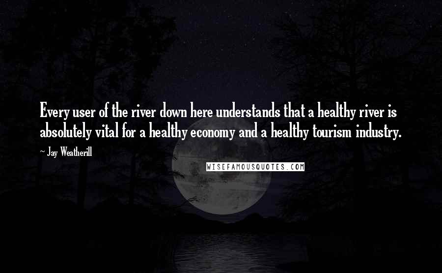 Jay Weatherill Quotes: Every user of the river down here understands that a healthy river is absolutely vital for a healthy economy and a healthy tourism industry.