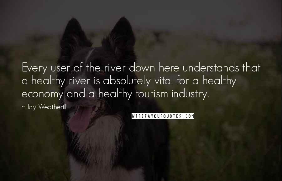 Jay Weatherill Quotes: Every user of the river down here understands that a healthy river is absolutely vital for a healthy economy and a healthy tourism industry.