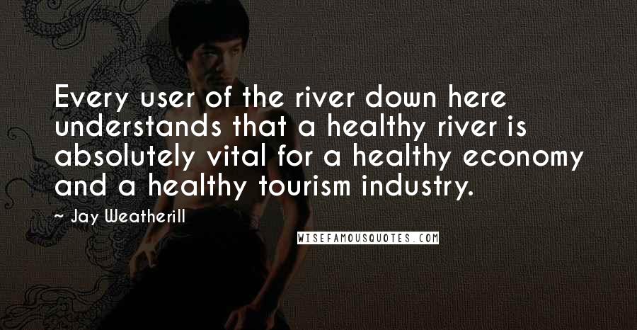 Jay Weatherill Quotes: Every user of the river down here understands that a healthy river is absolutely vital for a healthy economy and a healthy tourism industry.