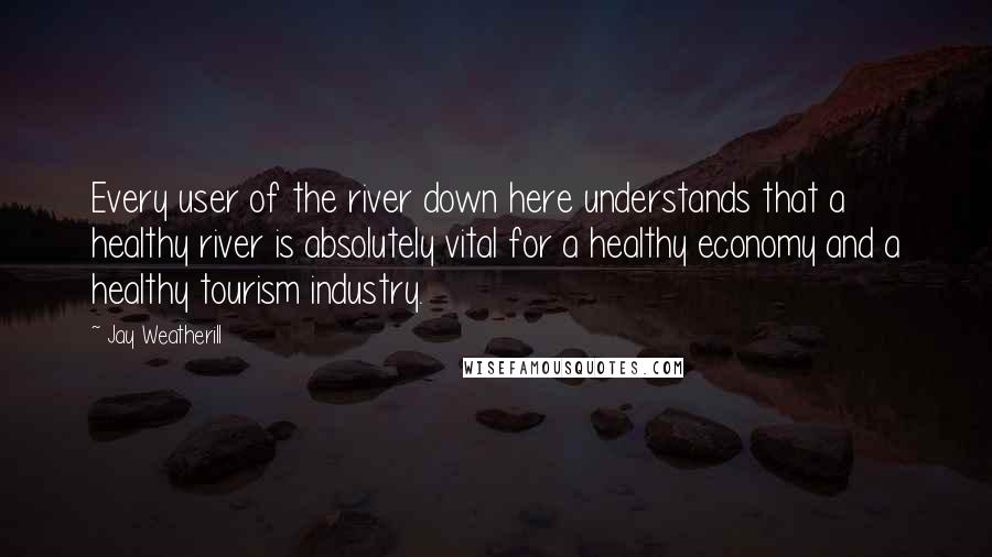 Jay Weatherill Quotes: Every user of the river down here understands that a healthy river is absolutely vital for a healthy economy and a healthy tourism industry.