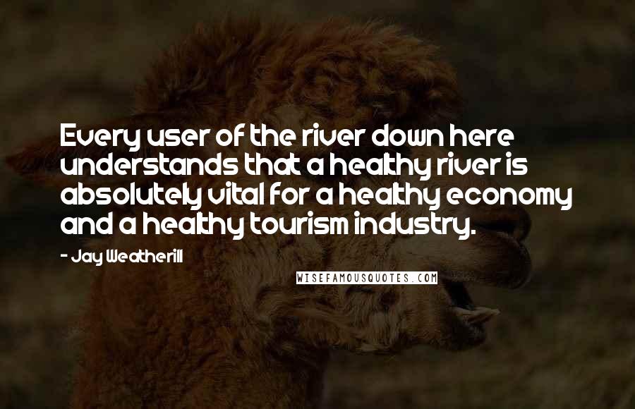 Jay Weatherill Quotes: Every user of the river down here understands that a healthy river is absolutely vital for a healthy economy and a healthy tourism industry.