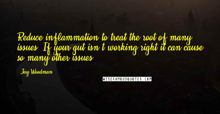 Jay Woodman Quotes: Reduce inflammation to treat the root of many issues. If your gut isn't working right it can cause so many other issues.