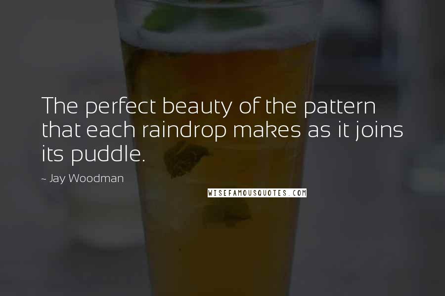 Jay Woodman Quotes: The perfect beauty of the pattern that each raindrop makes as it joins its puddle.