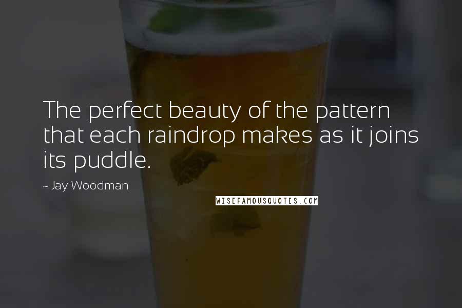 Jay Woodman Quotes: The perfect beauty of the pattern that each raindrop makes as it joins its puddle.