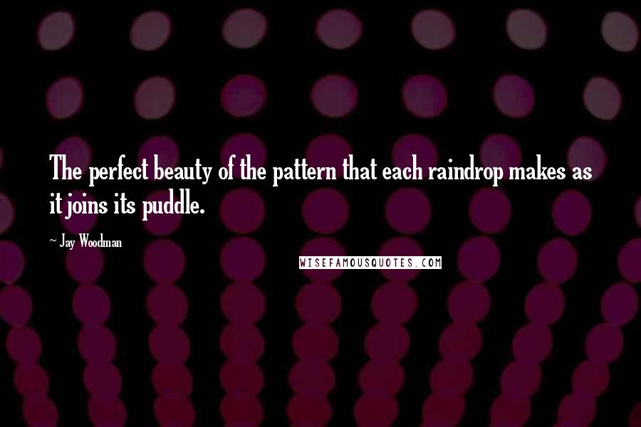 Jay Woodman Quotes: The perfect beauty of the pattern that each raindrop makes as it joins its puddle.