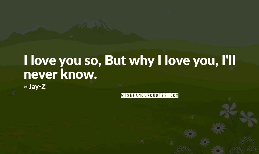 Jay-Z Quotes: I love you so, But why I love you, I'll never know.