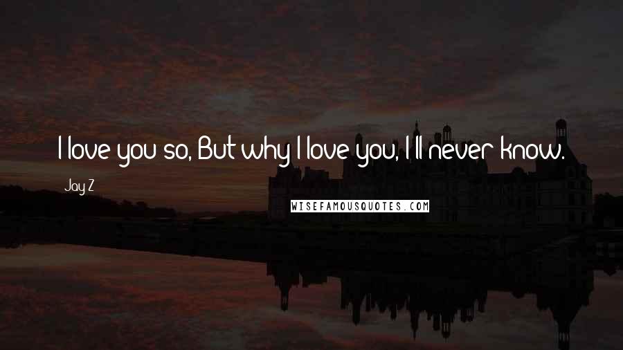 Jay-Z Quotes: I love you so, But why I love you, I'll never know.